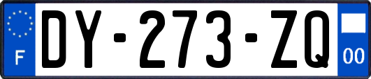 DY-273-ZQ