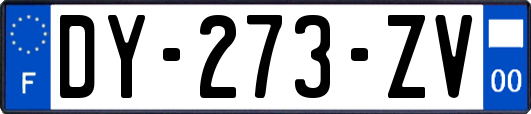 DY-273-ZV