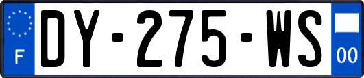 DY-275-WS