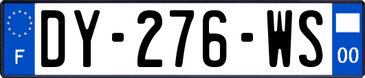 DY-276-WS