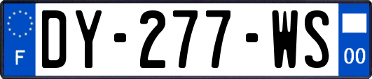 DY-277-WS