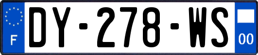 DY-278-WS