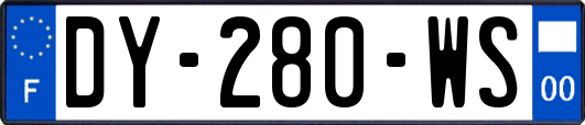 DY-280-WS