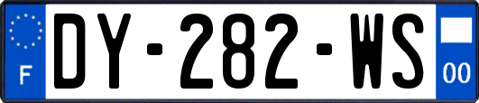 DY-282-WS