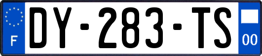 DY-283-TS