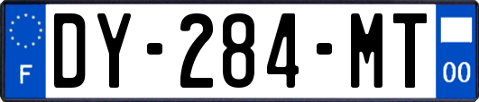 DY-284-MT