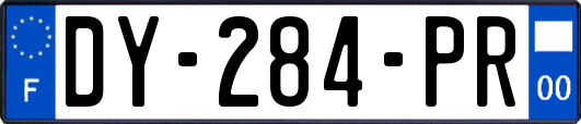 DY-284-PR