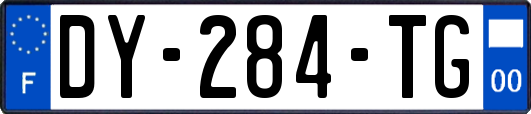 DY-284-TG