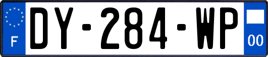 DY-284-WP