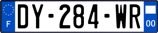 DY-284-WR