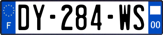 DY-284-WS