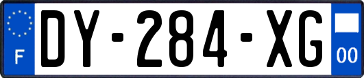 DY-284-XG