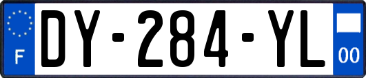 DY-284-YL