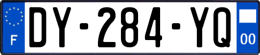 DY-284-YQ