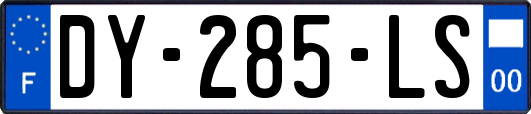 DY-285-LS