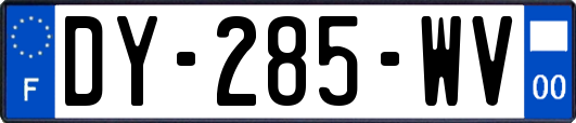 DY-285-WV