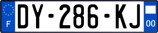 DY-286-KJ