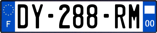 DY-288-RM