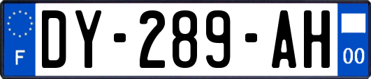 DY-289-AH