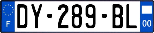 DY-289-BL