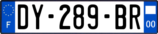 DY-289-BR