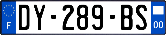 DY-289-BS