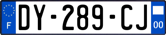 DY-289-CJ