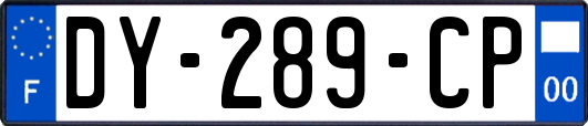 DY-289-CP