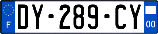 DY-289-CY