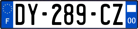 DY-289-CZ