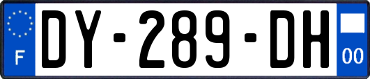 DY-289-DH