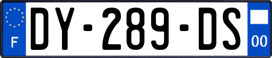 DY-289-DS