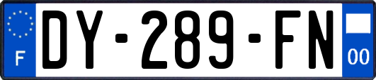 DY-289-FN