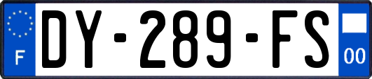 DY-289-FS