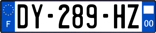 DY-289-HZ