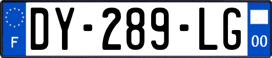 DY-289-LG
