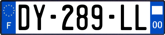 DY-289-LL