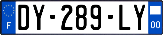 DY-289-LY
