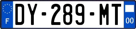 DY-289-MT