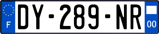 DY-289-NR