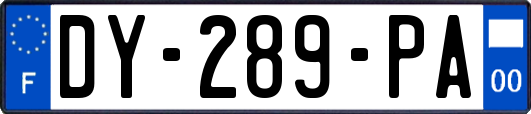 DY-289-PA