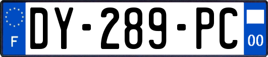 DY-289-PC