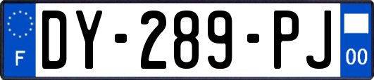 DY-289-PJ