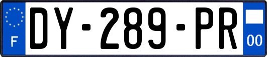 DY-289-PR