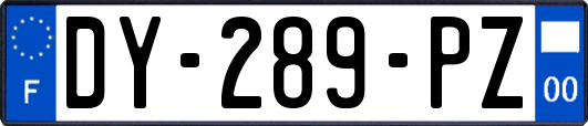 DY-289-PZ