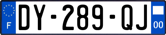 DY-289-QJ