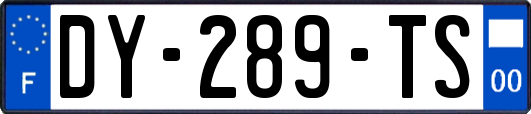 DY-289-TS