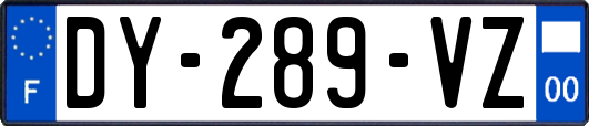 DY-289-VZ