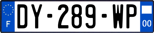 DY-289-WP