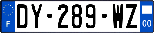 DY-289-WZ